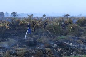 Pelan Tindakan Pembakaran Terbuka Kebangsaan diaktif