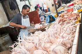 நியாயமற்ற முறையில் விலையை உயர்த்தாதீர்!  கோழி வியாபாரிகளுக்கு வலியுறுத்து