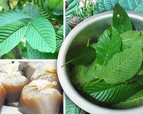 Empat lelaki disyaki edar air ketum campur ubat batuk ditahan