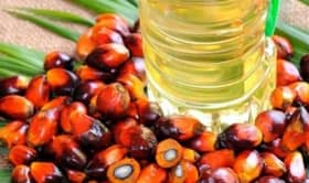 Tangguh hubungan dialog ASEAN-EU