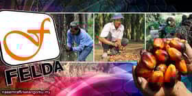 Kerajaan mungkin tidak berupaya jual aset Felda pada harga menguntungkan