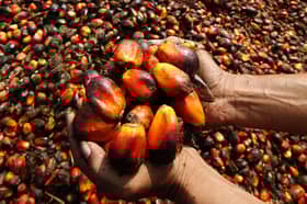 Di sebalik isu minyak sawit, hubungan EU-Malaysia kekal kukuh