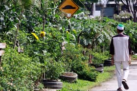 MPSJ cadang bina Kebun Komuniti di tapak sekolah