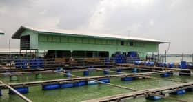 Kadar TOL pengusaha ikan sangkar Selangor terendah di Malaysia