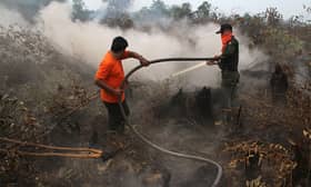 Experience, preparation factors forest fire extinguished early