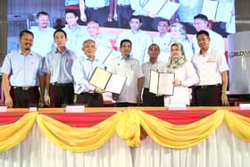 雪州3土埋场变绿肺