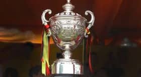 Piala Malaysia dipersembah kepada Sultan Nazrin pada 11 November