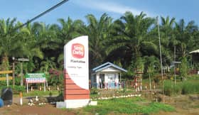 Sime Darby Plantation catat keuntungan 40%