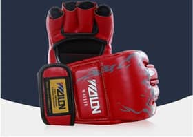 Sukan Sea: Tinju taruh bakat muda, senior hadapi kejohanan