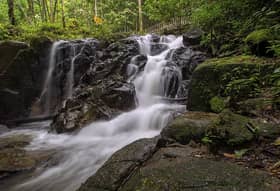 Dusun Tua mampu jadi pusat tarikan pelancong
