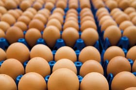 கோழி மற்றும் முட்டையின் தட்டுப்பாடு தற்காலிகமானதே! பயனீட்டாளர் அமைச்சு கூறுகிறது