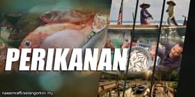 Industri akuakultur catat pengeluaran RM3.9 bilion tahun lalu