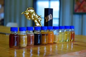 Fat Hopes for Bio-Fuel Industry