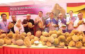 Invest Selangor 'hidang' Musang King, Musang Queen