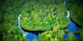 Kerajaan Negeri kaji bangunkan hutan simpan Kuala Langat