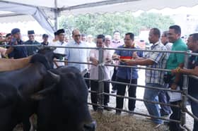 Kerajaan Negeri agih 1,200 ekor lembu sempena Aidiladha