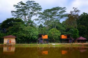 Taman Rimba Bukit Lagong, lokasi riadah mendamaikan