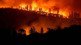 Kebakaran hutan: California tingkat usaha cari mayat, lebih 600 hilang