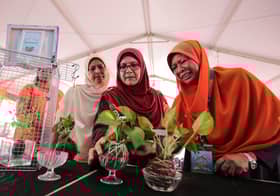 Wanita digalakkan sertai pertanian, variasikan produk keluaran