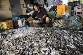 LKIM tapis 8,000 nelayan tidak tulen