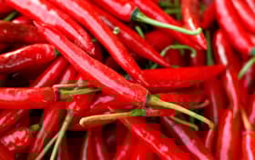 CAP dakwa harga sayur naik hingga 200 peratus