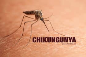 Chikungunya: Penduduk diminta kurangkan aktiviti waktu Maghrib
