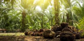 Gen Z, millennials more willing to spend on sustainable products — EY survey