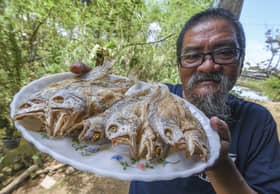 Ikan bekok pembuka selera masyarakat Kelantan