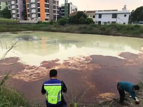 MB: Pencemaran Taman Eng Ann dijangka selesai dua hari