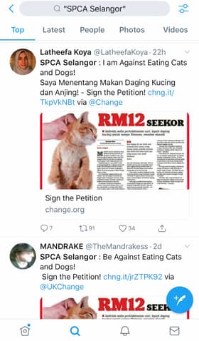 SPCA lancar petisyen henti jual daging kucing dan anjing