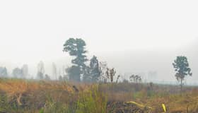 JAS tingkat rondaan, pantau pembakaran terbuka