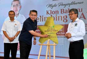 MARDI lancar klon hibrid  belimbing ‘Bintang Mas’