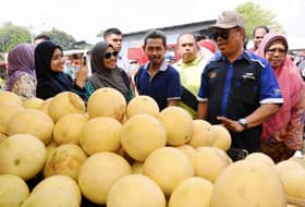 Pesara tentera disaran ceburi sektor pertanian