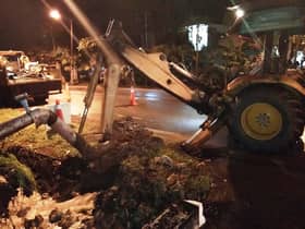 PANTAS MDKL selesai alih pokok tumbang