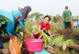 Kebun komuniti tarik minat pesara