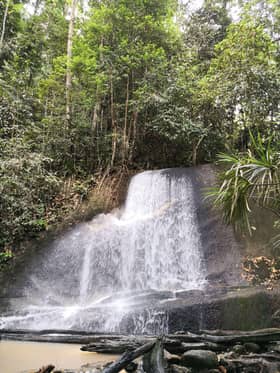 Hulu Selangor: Where nature harmonizes with machines