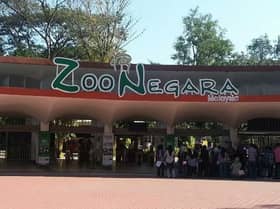 Usaha kembalikan kegemilangan Zoo Negara