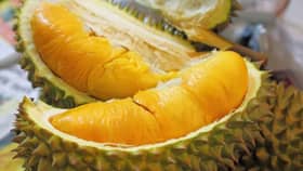 Harga durian perlu dikawal, elak pengguna tertipu - PPMM