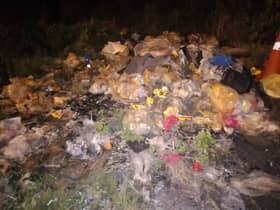 Buang sisa makanan, lelaki warga asing ditahan