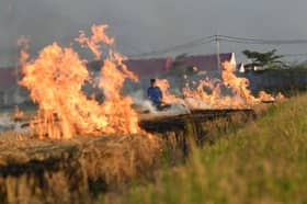 Petani Kedah disaran elak bakar jerami