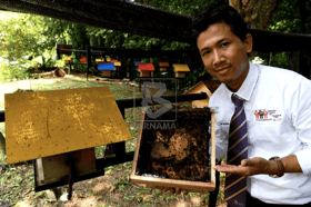 யுஎஸ்எம் ஏற்பாட்டில் தேன் தயாரிப்பு பயிற்சி