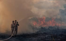 Rakyat Malaysia diminta waspada susulan kebakaran hutan di Brazil
