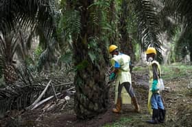 Asnaf Selangor ditawar kursus dalam sektor ladang