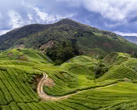 Cerun runtuh, Jalan Tengkolok di Cameron Highlands ditutup