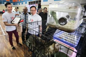 Hanya 1,400 pemilik ada lesen pelihara anjing