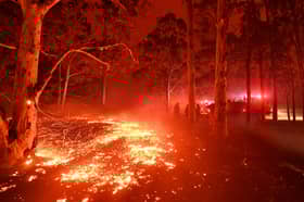 Bomba Malaysia siap siaga bantu kebakaran hutan Australia