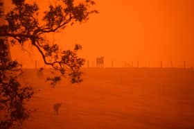 Hundreds flee advancing bushfires in Queensland Australia, one dead