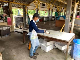 MPSepang, MBSA perluas proses nyahkuman