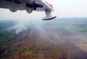 Bomba, maritim kerjasama padam kebakaran Hutan Simpan Kuala Langat