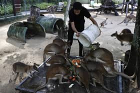 RM8 million needed by Zoos nationwide to cover operating cost